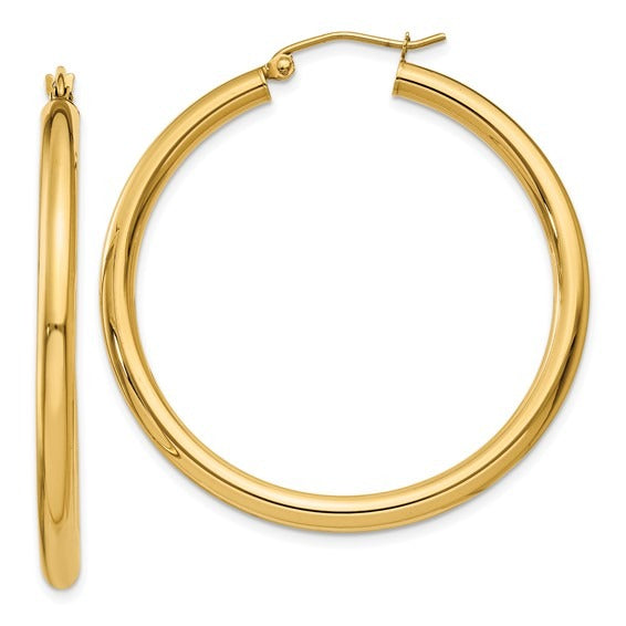 Yellow Gold Hoop Earrings