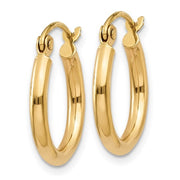 Gold Hoop Earring