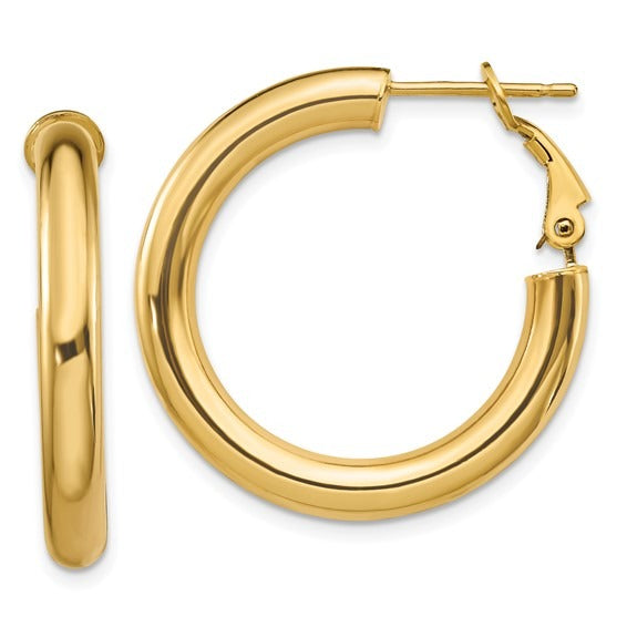 Gold Hoop Earring