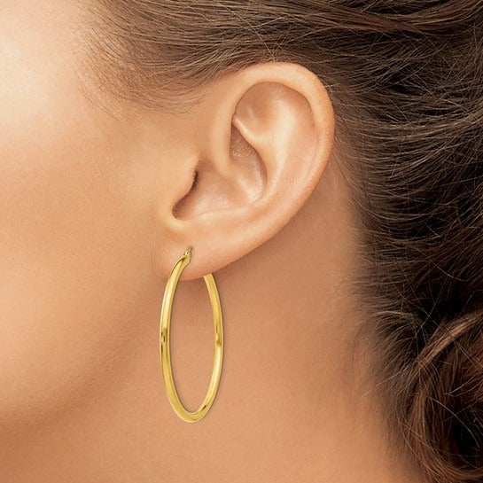 Yellow Gold Hoop Earrings