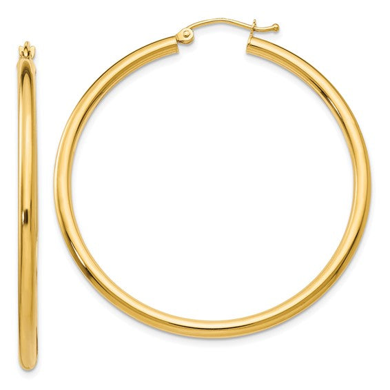 Yellow Gold Hoop Earrings