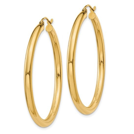 Yellow Gold Hoop Earrings